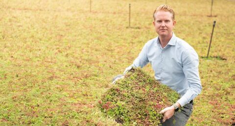Nieuw groendaksysteem in de markt