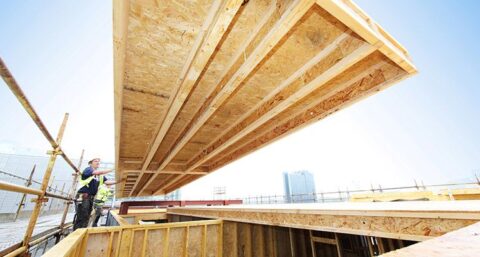 ‘Houtbouw heeft de toekomst’