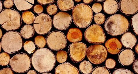 Training bouwen met hout