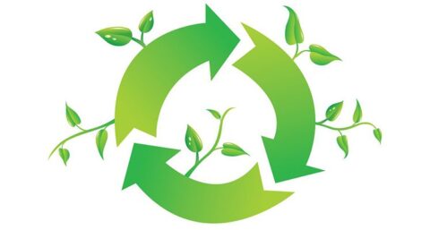 Training circulair bouwen