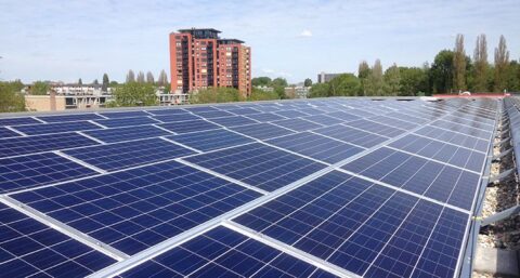 TPSolar wil miljoen euro ophalen om nieuwe zonneparken te ontwikkelen
