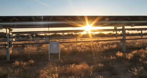 Delta wordt lid van branchevereniging Holland Solar