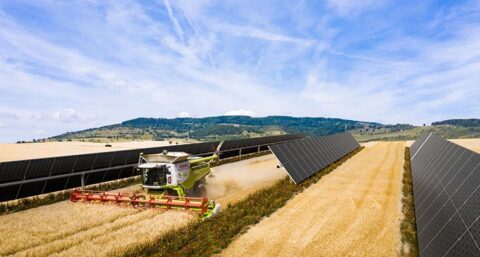 BayWa r.e. ontwikkelt twee zonneparken die VELUX van 100% groene stroom gaan voorzien
