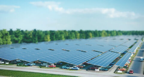 Solarfields verandert naam in Novar