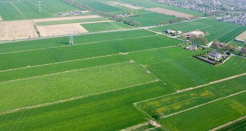 Stikstofuitspraak RvS ‘lichtpuntje’ voor de bouw