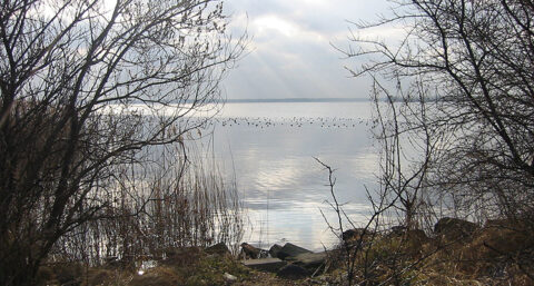 Waterleidingbedrijven Gooi zoeken oplossing voor drinkwatertekort