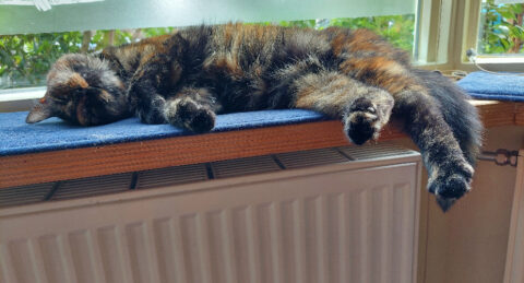 Waterzijdig inregelen; wat, waarom en hoe?