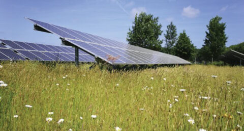 Geen zonneparken meer op landbouwgrond en in natuur