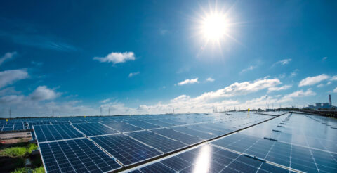 Grootste zonnepark Shell open