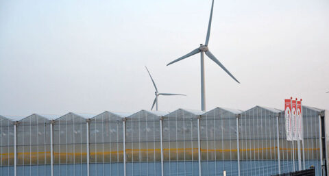 Brabant stuurt aan op publiek warmtebedrijf