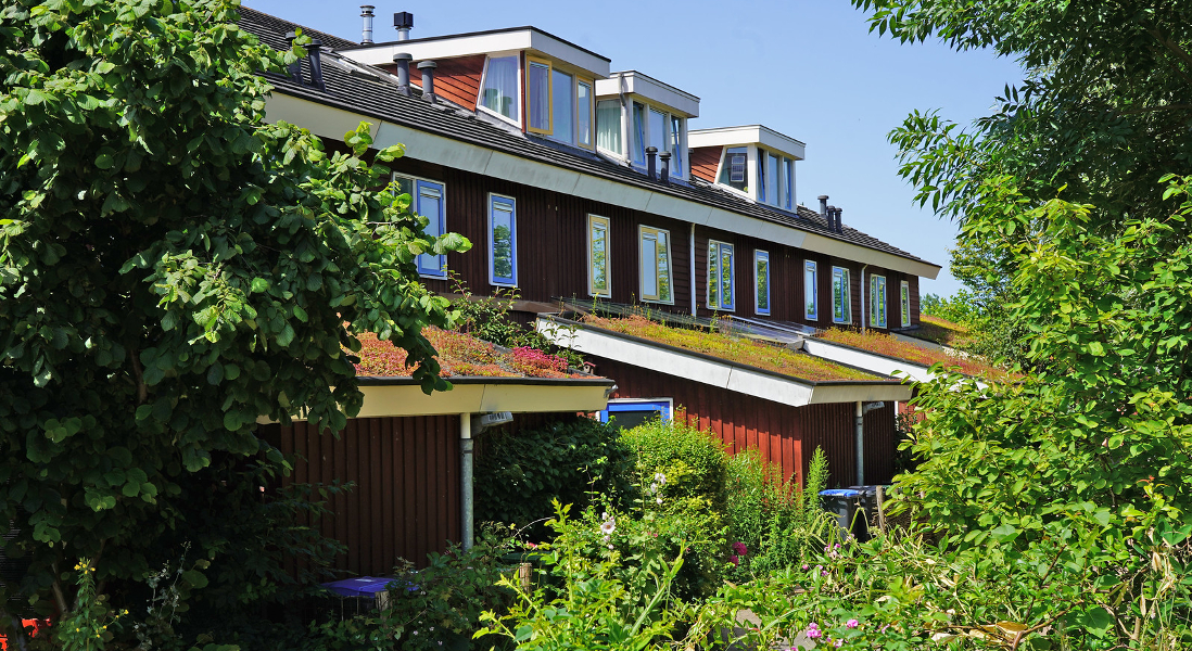 Natuurinclusief bouwen