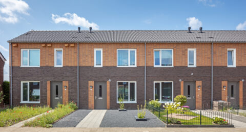 ‘Gaan we houtbouw zelfs hoger waarderen dan traditionele bouw?’