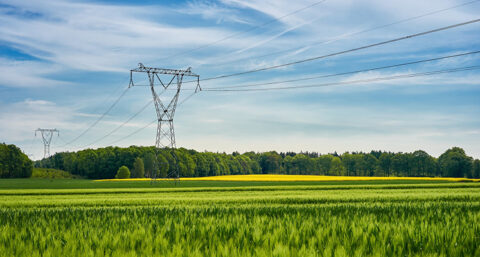 Meeste projectvertraging in de bouw wordt veroorzaakt door netcongestie 