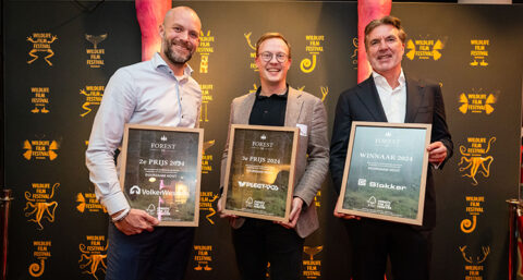 Slokker wint Forest50 award voor duurzaam houtgebruik