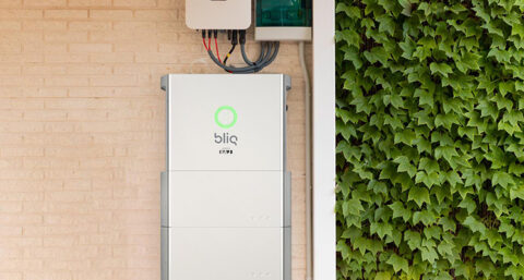 Bliq en Denim Solar maken doorstart onder The Sharing Group