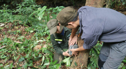 Je historische CO2-uitstoot naar nul, zo kan het!