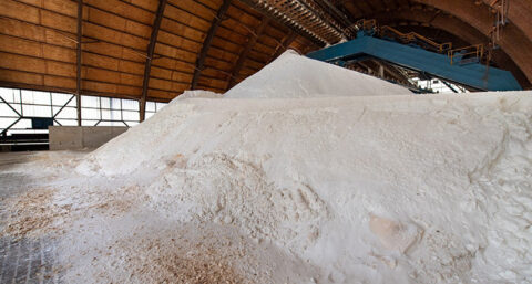 Nederland wil natrium als duurzaam alternatief voor lithium in batterijen