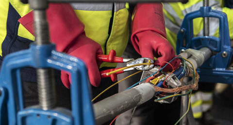 Slimme samenwerking maakt 100 megawatt extra netcapaciteit vrij