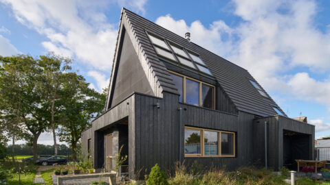 \'Ik word blij van termietenheuvelventilatie\'