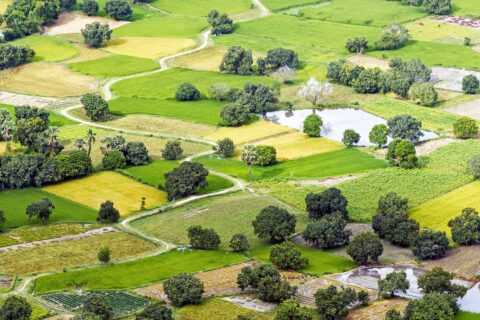 Goed om te weten over bijbouwen op eigen erf