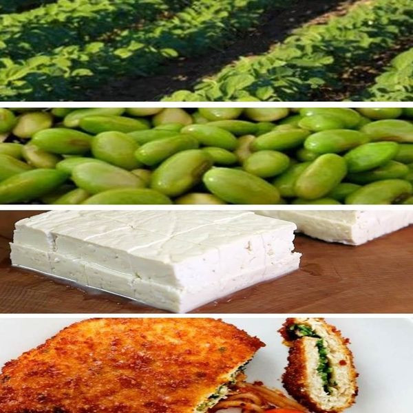 Afbeelding van het product