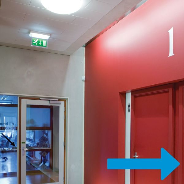 Afbeelding van het product