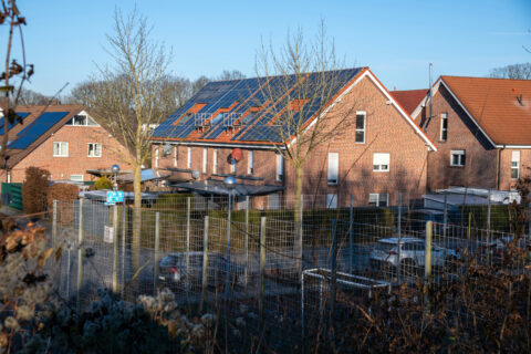 Een nieuwe schutting in je tuin: kies voor een duurzame oplossing