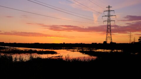 Netcongestie… Dienend of sturend leiderschap?