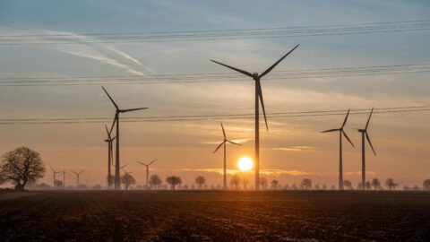 Energiemanagement software vergelijken: waar moet je op letten?