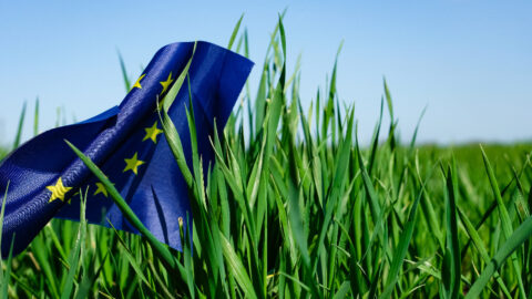 groen en duurzaam Europa