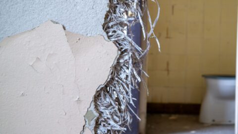 Eet geen ongezonde bouwmaterialen