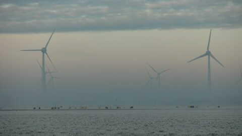 ‘Ons revolutionaire zonnepaneel levert zelfs energie bij dichte mist’