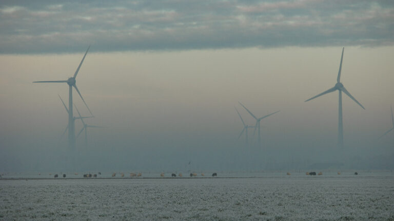 ‘Ons revolutionaire zonnepaneel levert zelfs energie bij dichte mist’