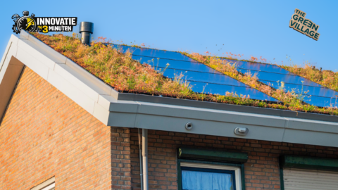 Schuin groen dak zonder dakconstructie te verzwaren
